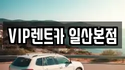 VIP렌트카 일산본점