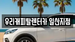 경기도 고양시 일산서구 덕이동 렌트카,단기렌트카,장기렌트카,중고차,중고차매매,중고차매입