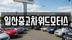 일산중고차위드모터스