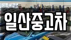 일산중고차