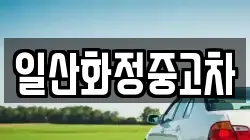 일산화정중고차