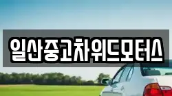 일산중고차위드모터스