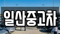 일산중고차