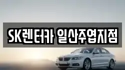 SK렌터카 일산주엽지점