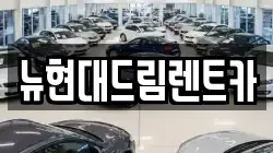 뉴현대드림렌트카