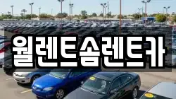 경기도 과천시 중앙동 렌트카,단기렌트카,장기렌트카,중고차,중고차매매,중고차매입