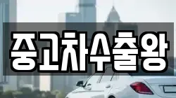중고차수출왕