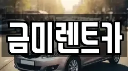 경기도 광명시 노온사동 렌트카,단기렌트카,장기렌트카,중고차,중고차매매,중고차매입