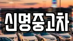신명중고차