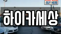 하이카세상