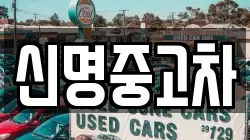 신명중고차