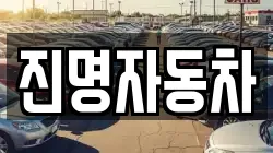 진명자동차