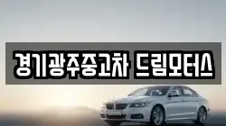 경기광주중고차 드림모터스