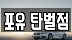 포유 탄벌점