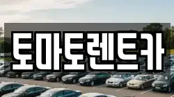 토마토렌트카