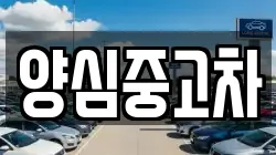 양심중고차