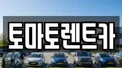 경기도 광주시 남종면 렌트카,단기렌트카,장기렌트카,중고차,중고차매매,중고차매입