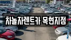 차놀자렌트카 목현지점
