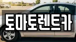 토마토렌트카
