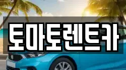 경기도 광주시 능평동 렌트카,단기렌트카,장기렌트카,중고차,중고차매매,중고차매입