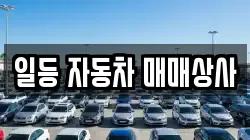 일등 자동차 매매상사