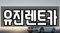 경기도 광주시 신현동 렌트카,단기렌트카,장기렌트카,중고차,중고차매매,중고차매입