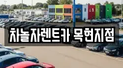 차놀자렌트카 목현지점