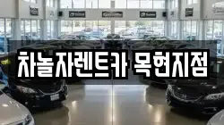 차놀자렌트카 목현지점