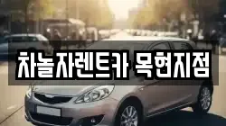 차놀자렌트카 목현지점
