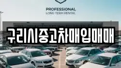 구리시중고차매입매매