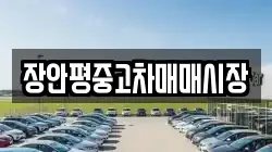 장안평중고차매매시장