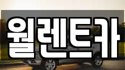 월렌트카