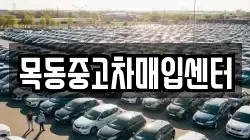 목동중고차매입센터