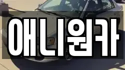 애니원카