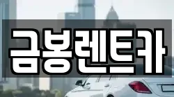 경기도 군포시 부곡동 렌트카,단기렌트카,장기렌트카,중고차,중고차매매,중고차매입
