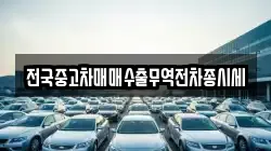 전국중고차매매수출무역전차종시세