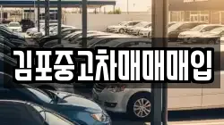 김포중고차매매매입