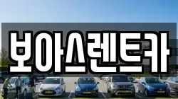 경기도 김포시 감정동 렌트카,단기렌트카,장기렌트카,중고차,중고차매매,중고차매입