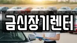 금신장기렌터