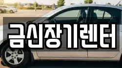 금신장기렌터