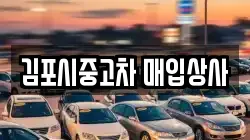 김포시중고차 매입상사