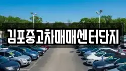 김포중고차매매센터단지