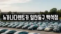 뉴가나다렌트카 일산동구 백석점