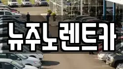 뉴주노렌트카