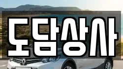 도담상사