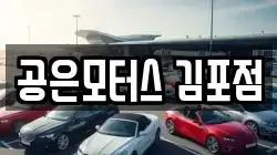 공은모터스 김포점