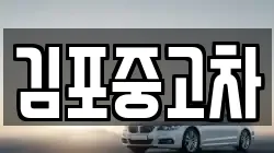 김포중고차