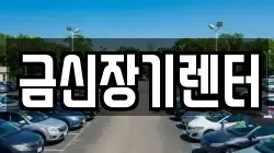 금신장기렌터
