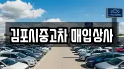 김포시중고차 매입상사