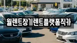 경기도 김포시 대곶면 렌트카,단기렌트카,장기렌트카,중고차,중고차매매,중고차매입